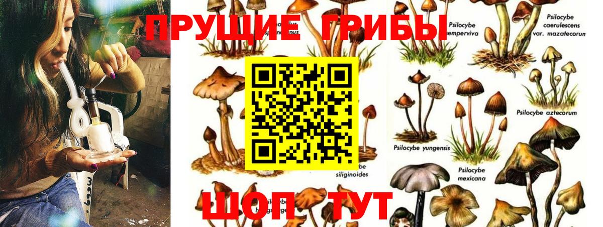 Галлюциногенные грибы GOLDEN TEACHER Донской