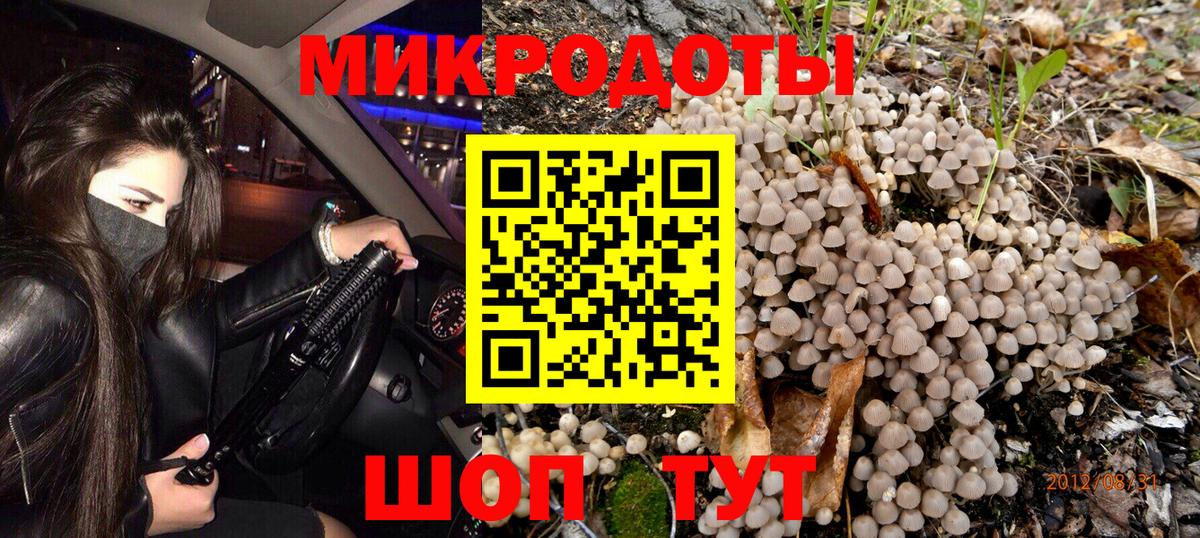 Донской  Галлюциногенные грибы Psilocybe  Вход с VPN 